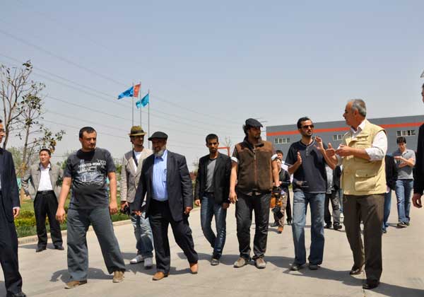 ��ʯͷ�Ļ���_���������